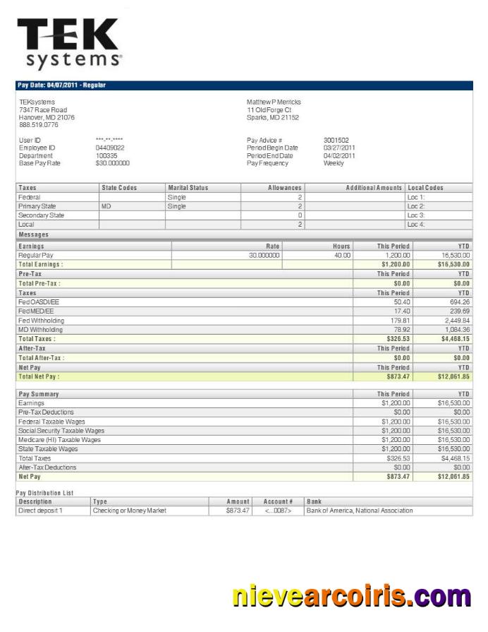 TEKsystems pay stub 2